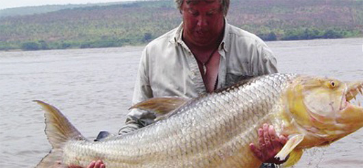 Fishing Holidays Trips Congo 2, Africa - Tiger Fishing